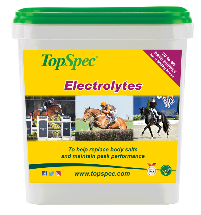 Topspec Electrolytes 3 kg