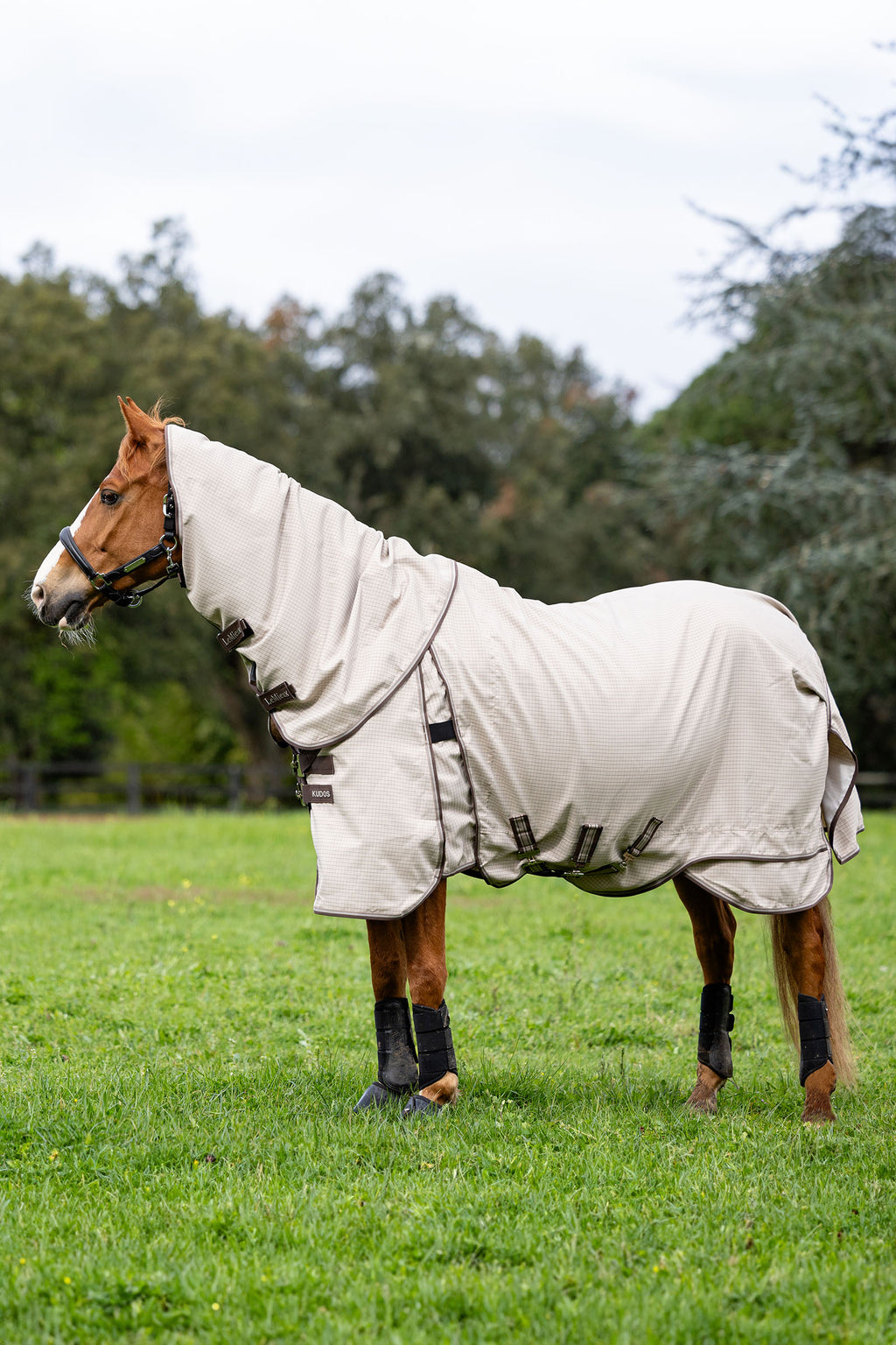 Lemieux Kudos Field Rug