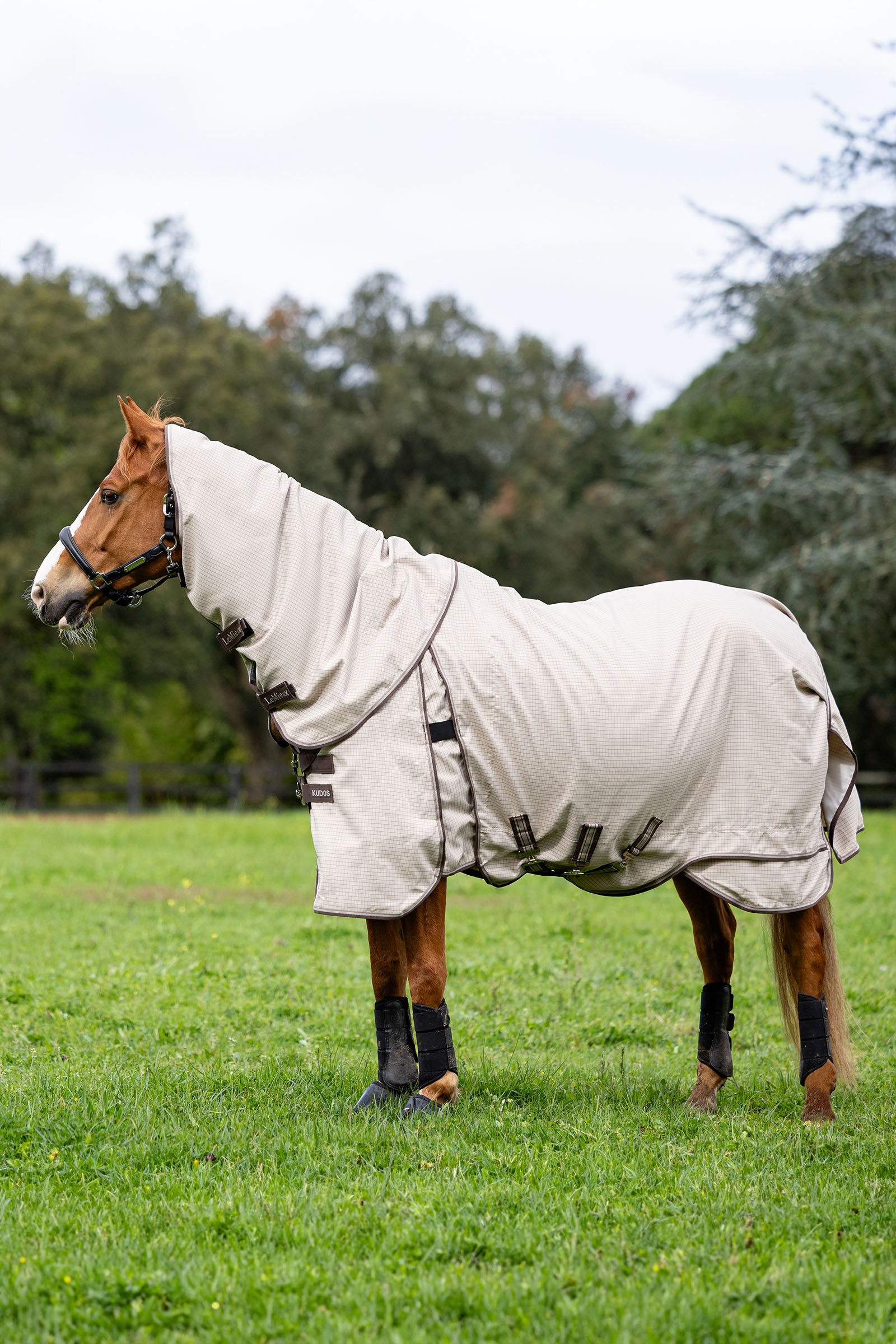 Lemieux Kudos Field Rug