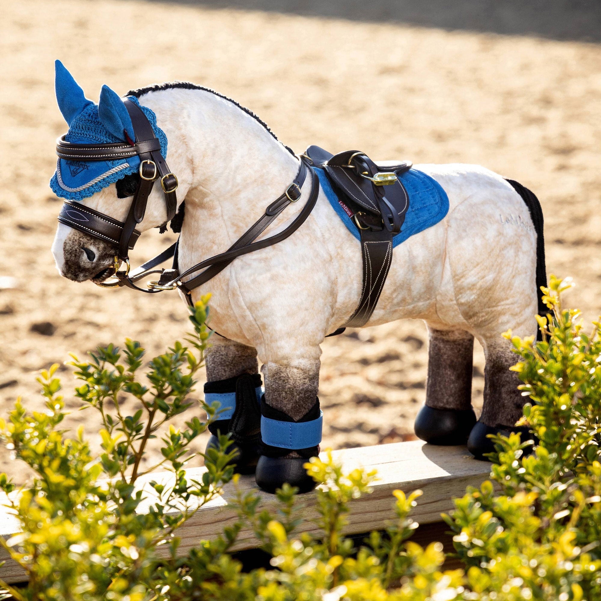 Lemieux Tiny Pony