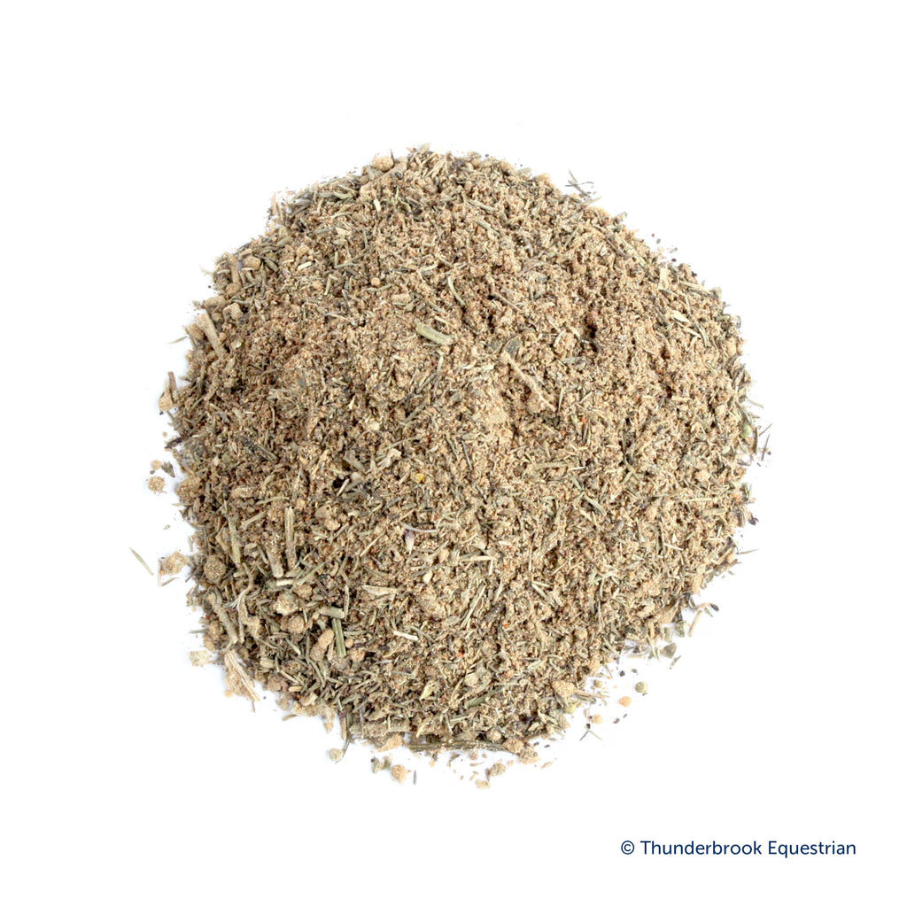 Thunderbrook Gut Guardian (formally Verm Cleanse) 1.5KGS