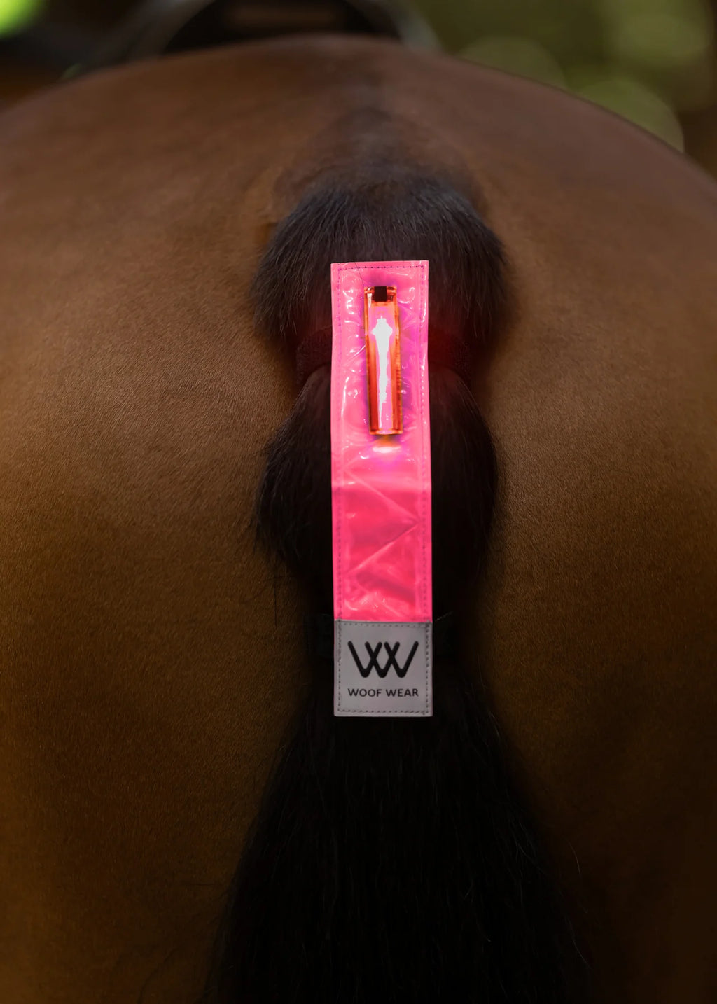 Woof Wear Led Hi Vis Tail Light