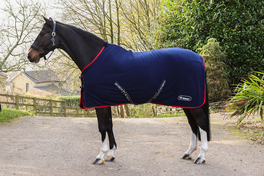 Whitaker R470 Rastrick V2 Fleece Rug