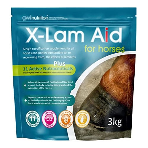 Gwf Nutrition X-Lam Aid 3 kg