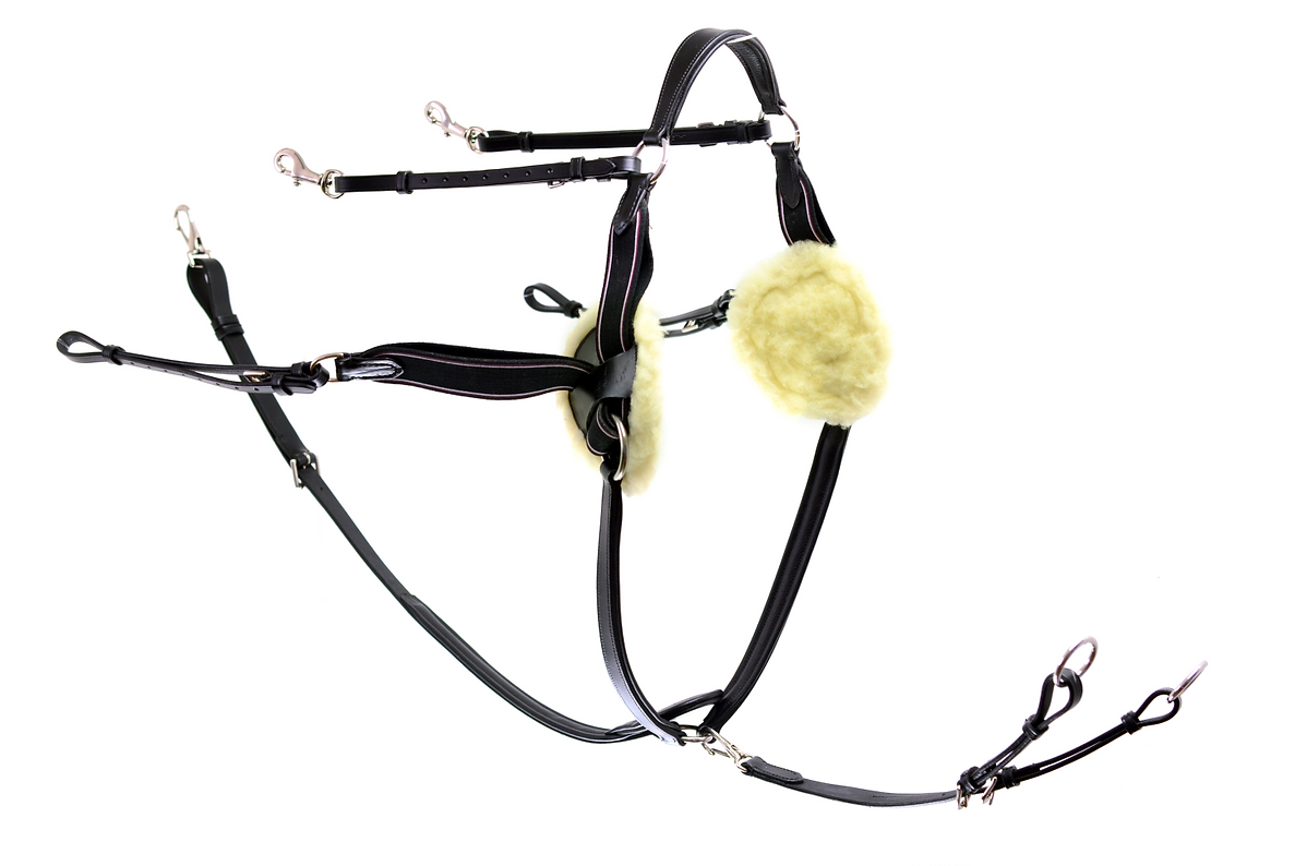 Ascot 5 Point Breastplate