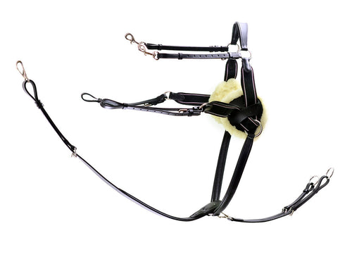 Ascot 5 Point Breastplate