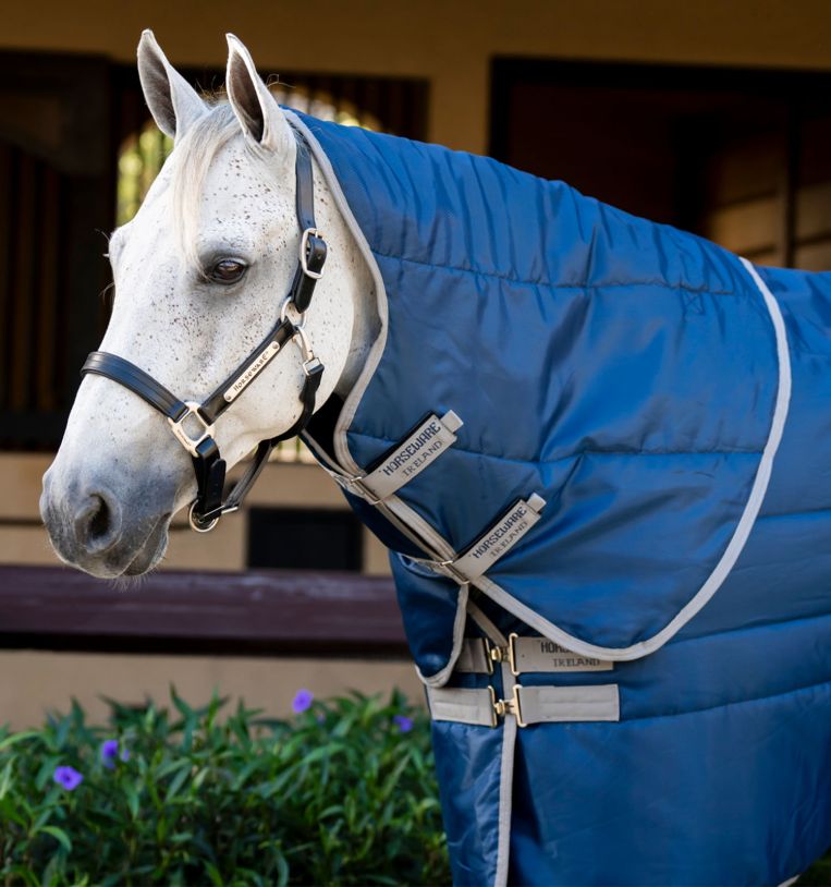 Amigo Ripstop Insulator Stable Hood 200G