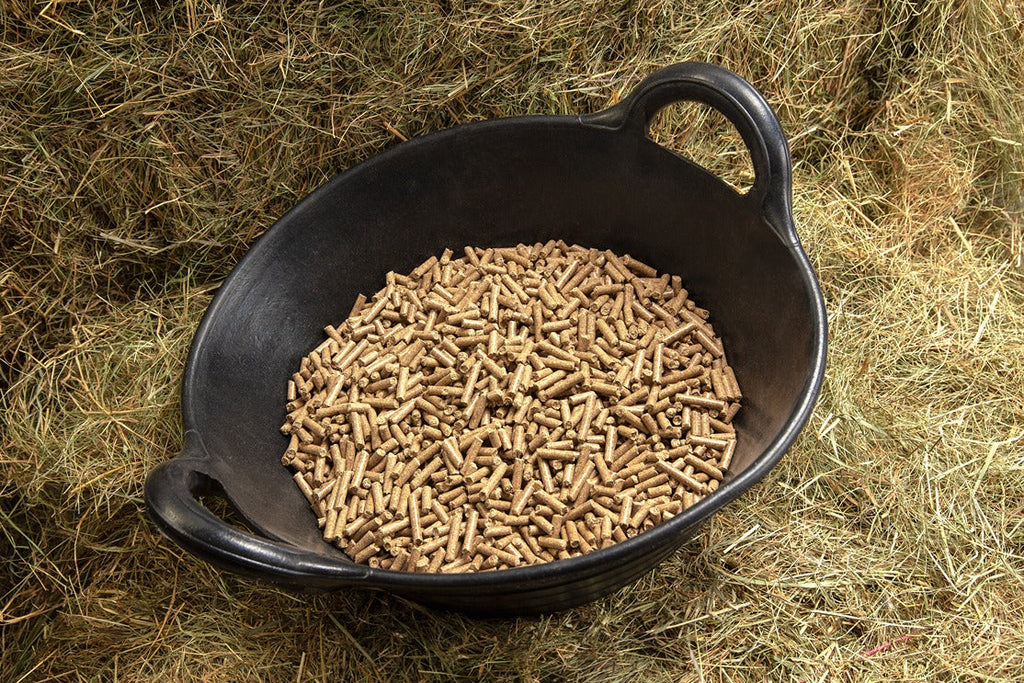 Spillers High Fibre Cubes 20 kg