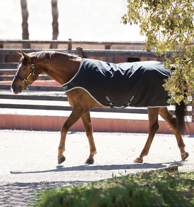 Amigo Waterproof Walker Rug 200 g