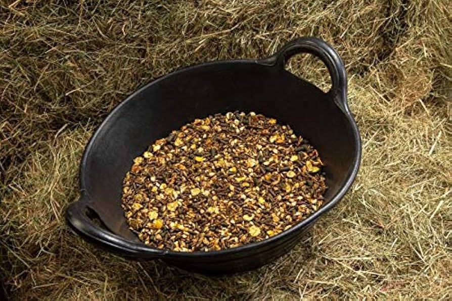 Spillers Senior Condition Mix 20 kg