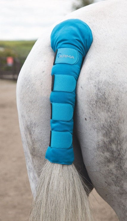 Arma Tail Guard