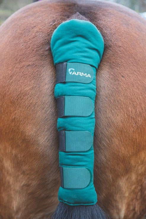 Arma Tail Guard