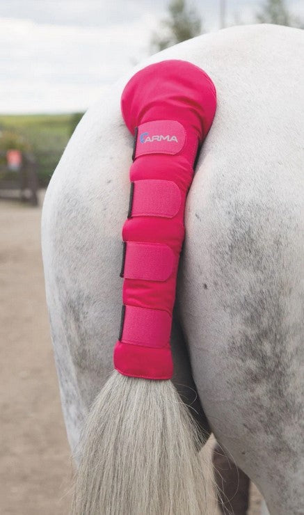 Arma Tail Guard