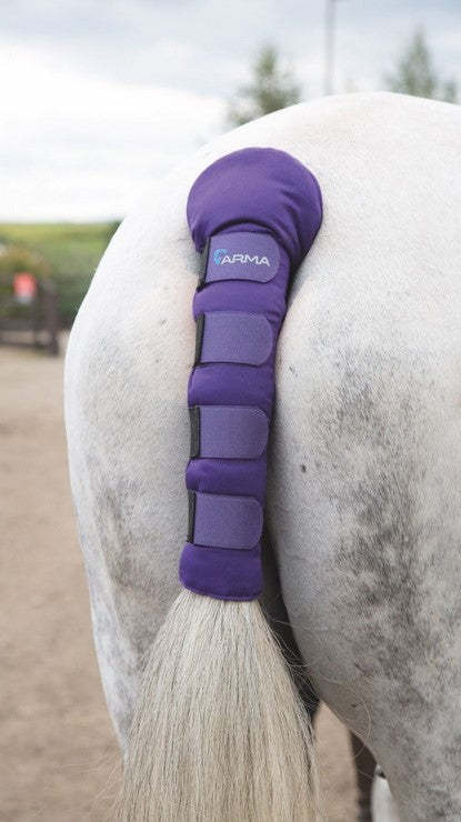 Arma Tail Guard