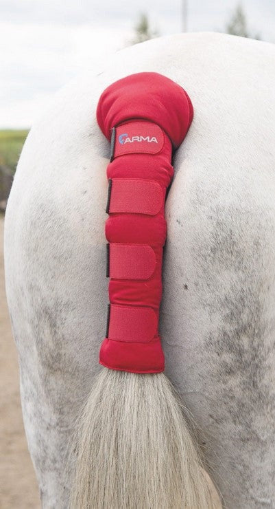 Arma Tail Guard