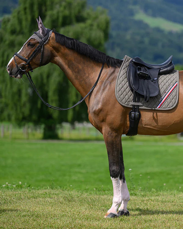 Tommy Hilfiger Stanford Saddle Pad Dressage