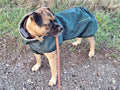 Mountain Horse Grace Dog Jacket