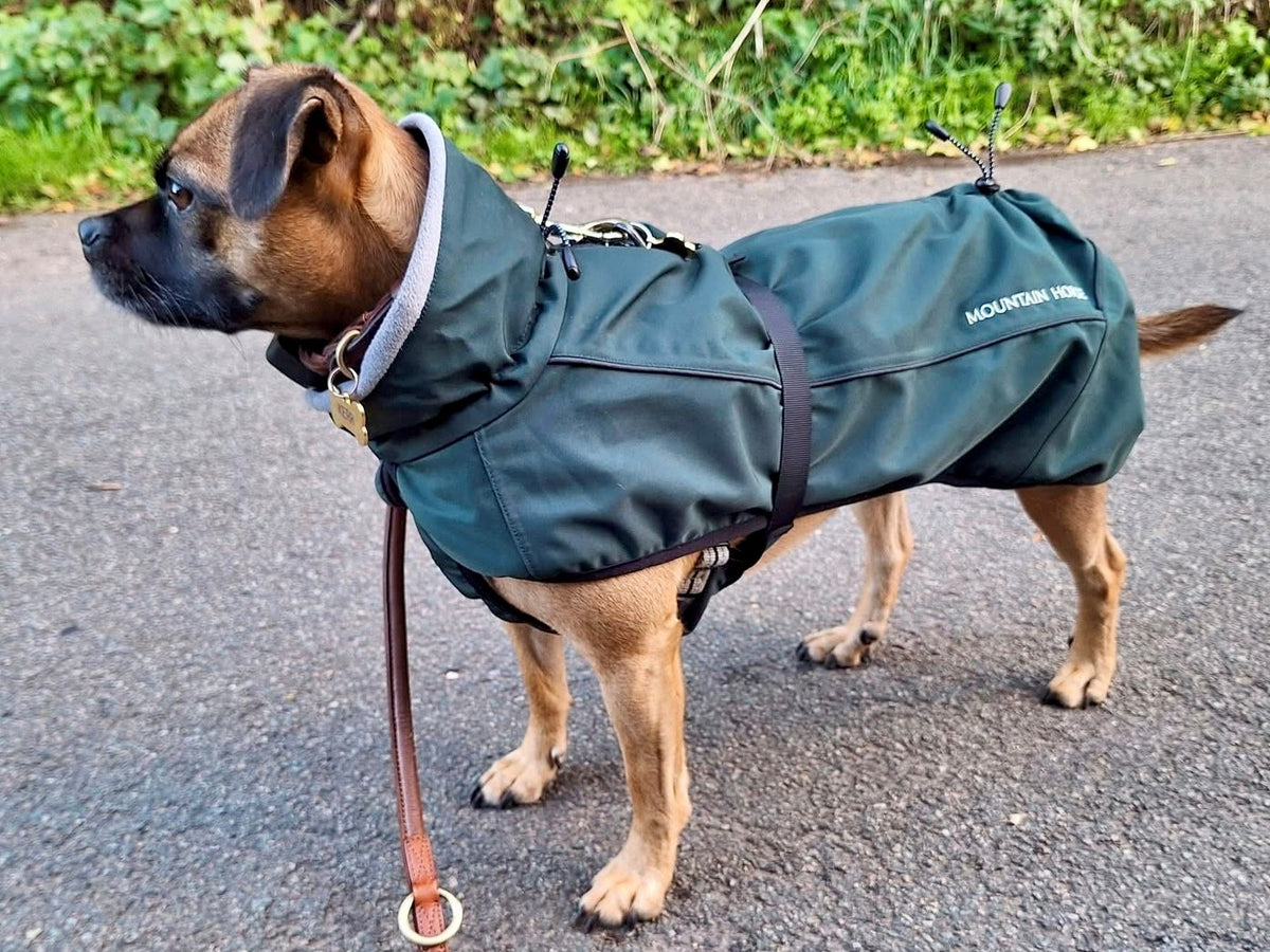 Mountain Horse Grace Dog Jacket