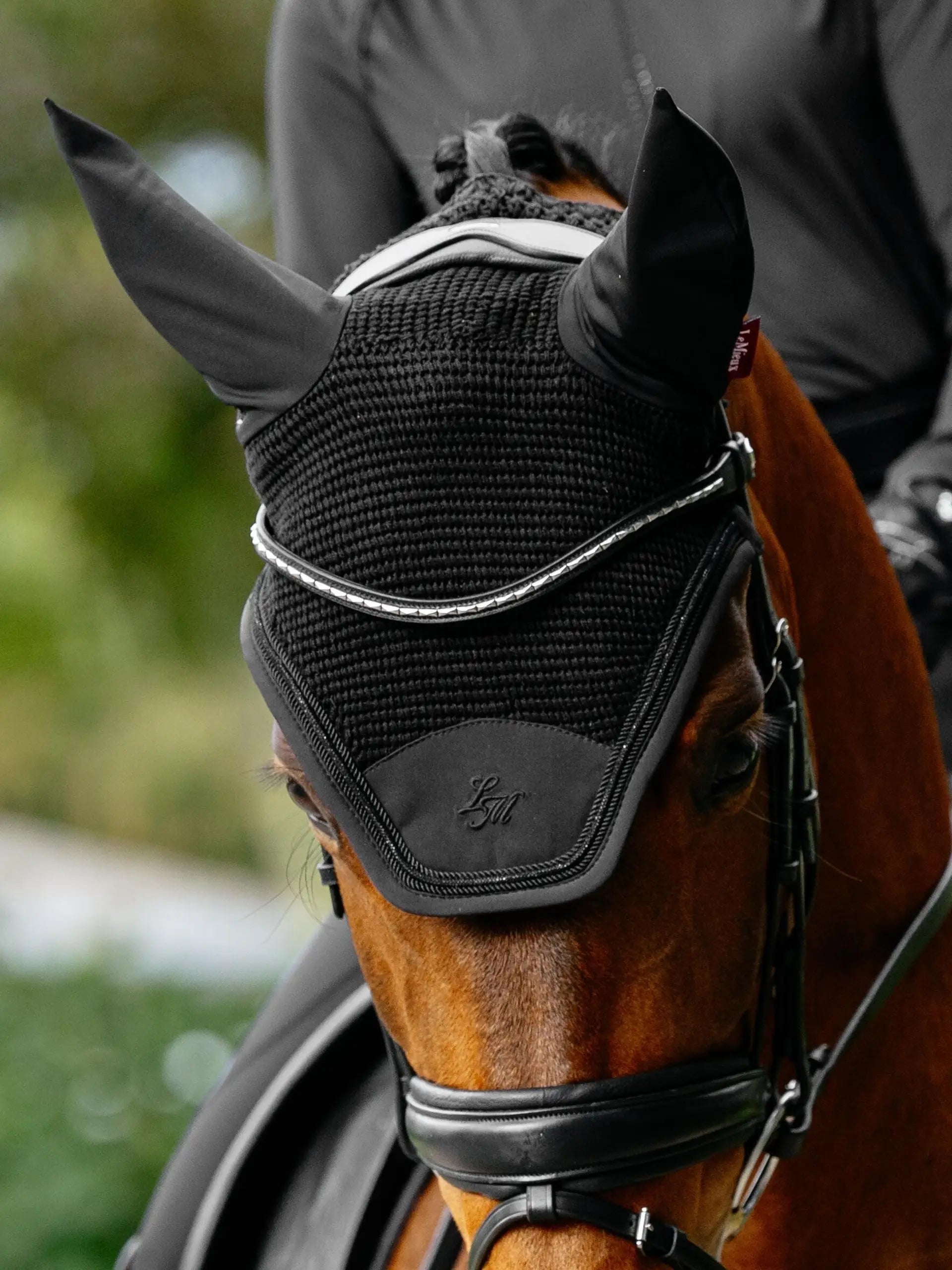 Lemieux Brilliance Fly Hood