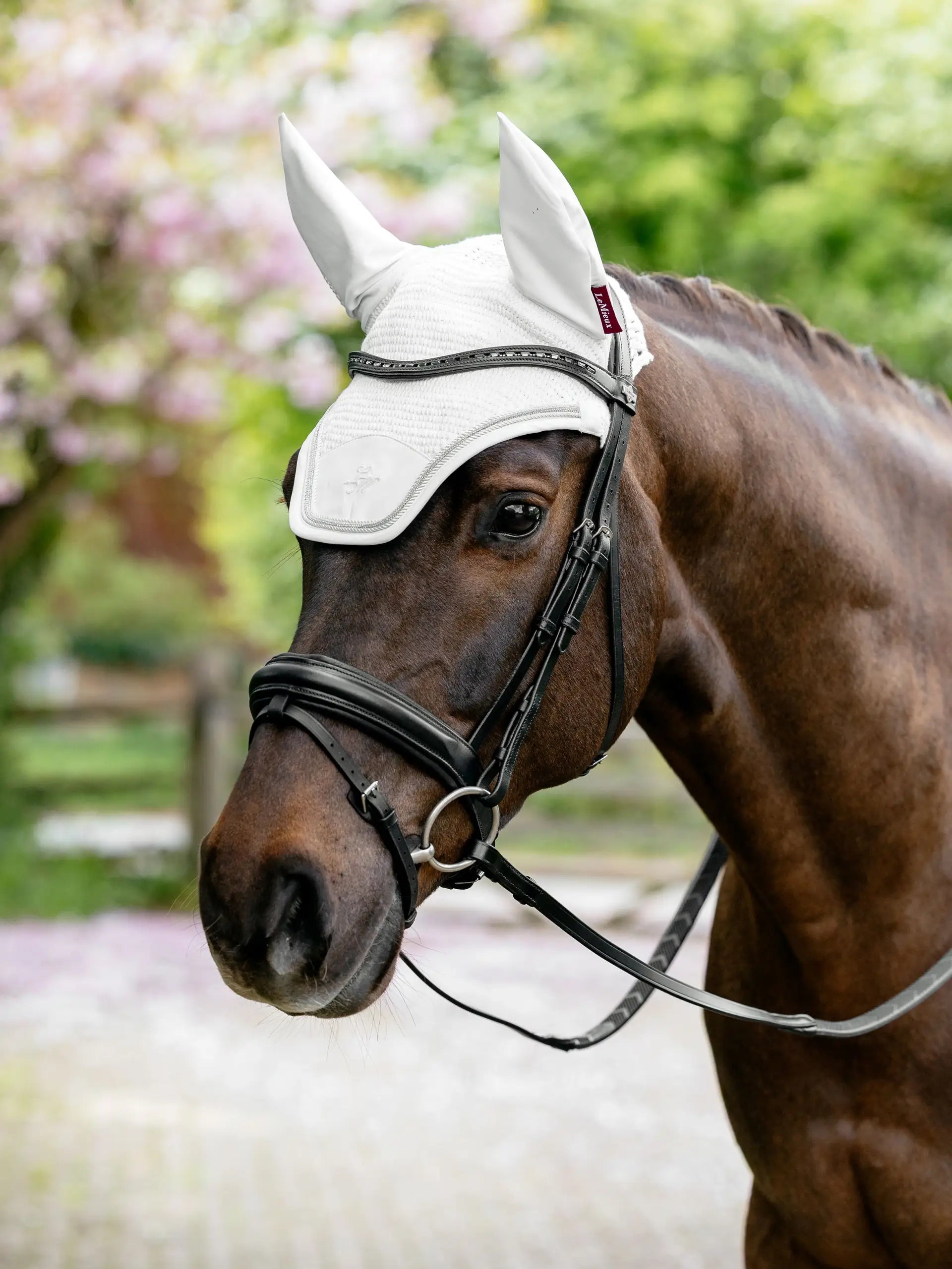 Lemieux Brilliance Fly Hood