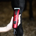 Liveryman Bruno Clippers