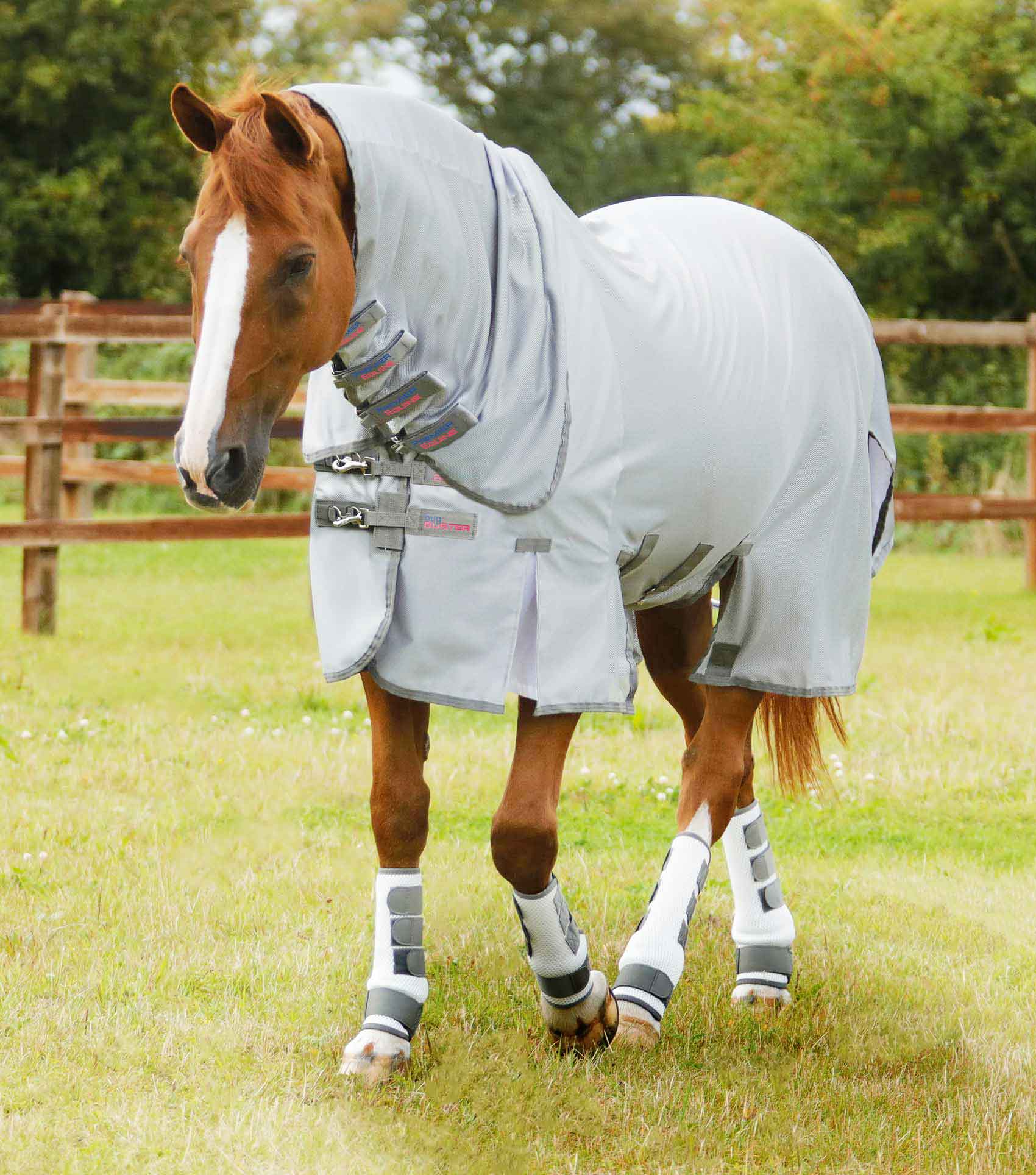 Premier Equine Bug Buster Fly Rug With Belly Flap