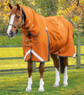 Premier Equine Buster Storm Combo With Classic Neck 400 g