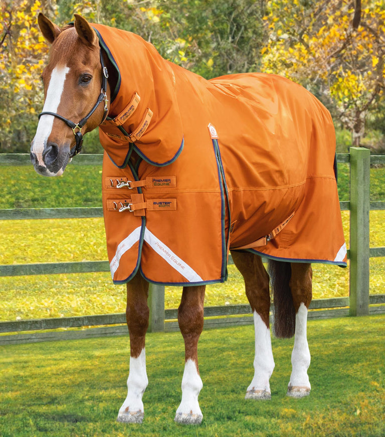 Premier Equine Buster Storm Combo With Classic Neck 400 g
