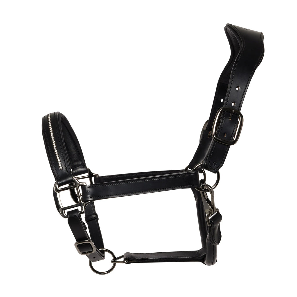 Ecorider Competition Leather Headcollar