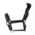 Ecorider Competition Leather Headcollar