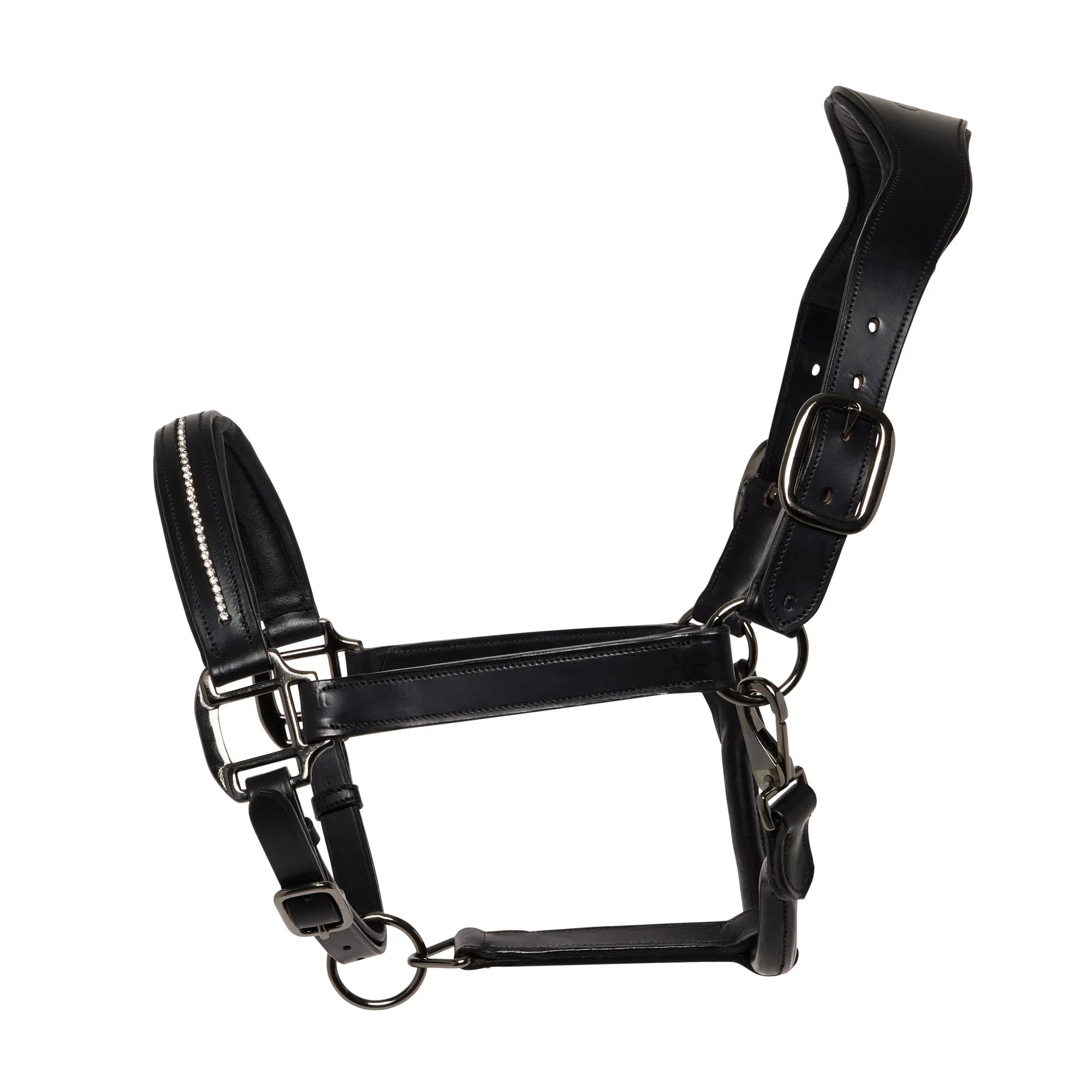 Ecorider Competition Leather Headcollar