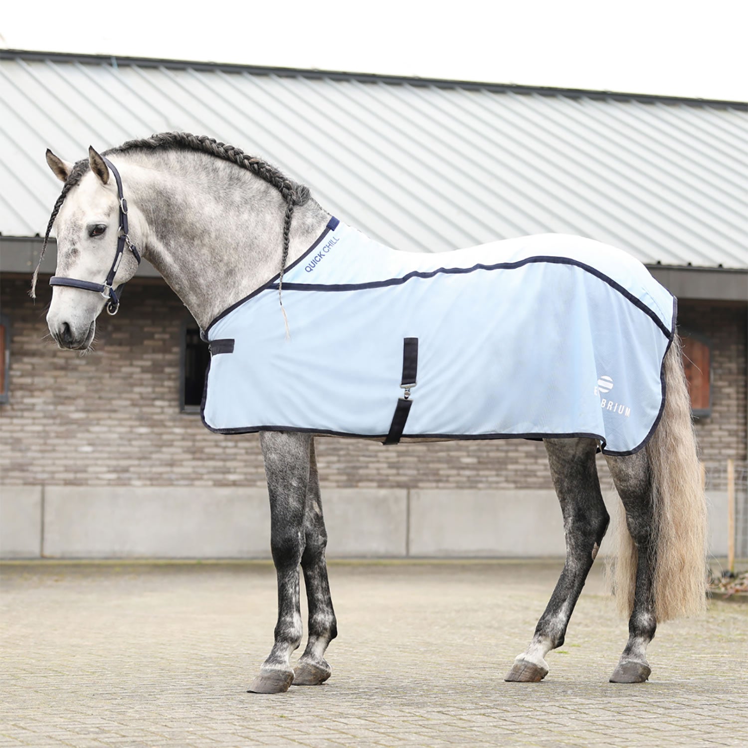 Equilibrium Quick Chill Cool Rug