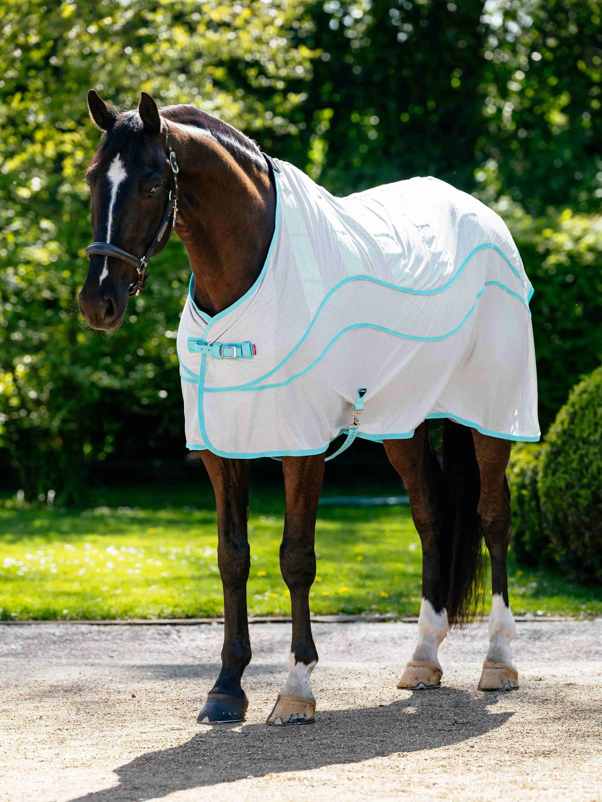 Lemieux Crystal Cooler Rug