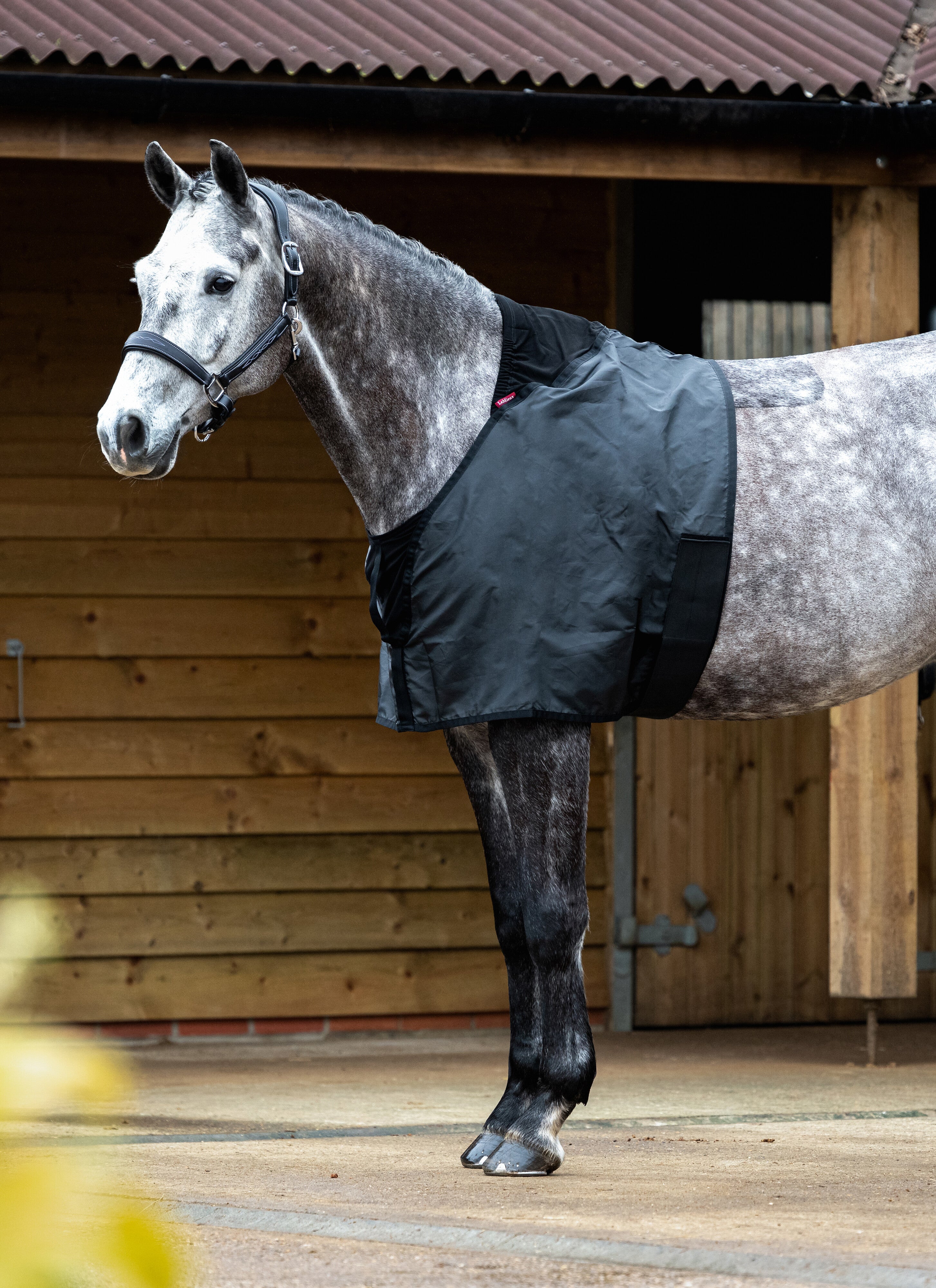 Le Mieux Anti Rub Bib