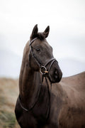 Ecorider Easystride Bridle & Reins