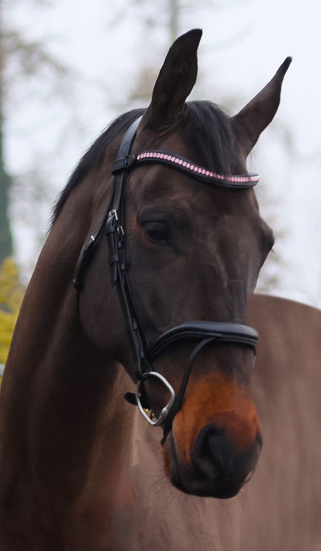 Mackey Sparkle Browband