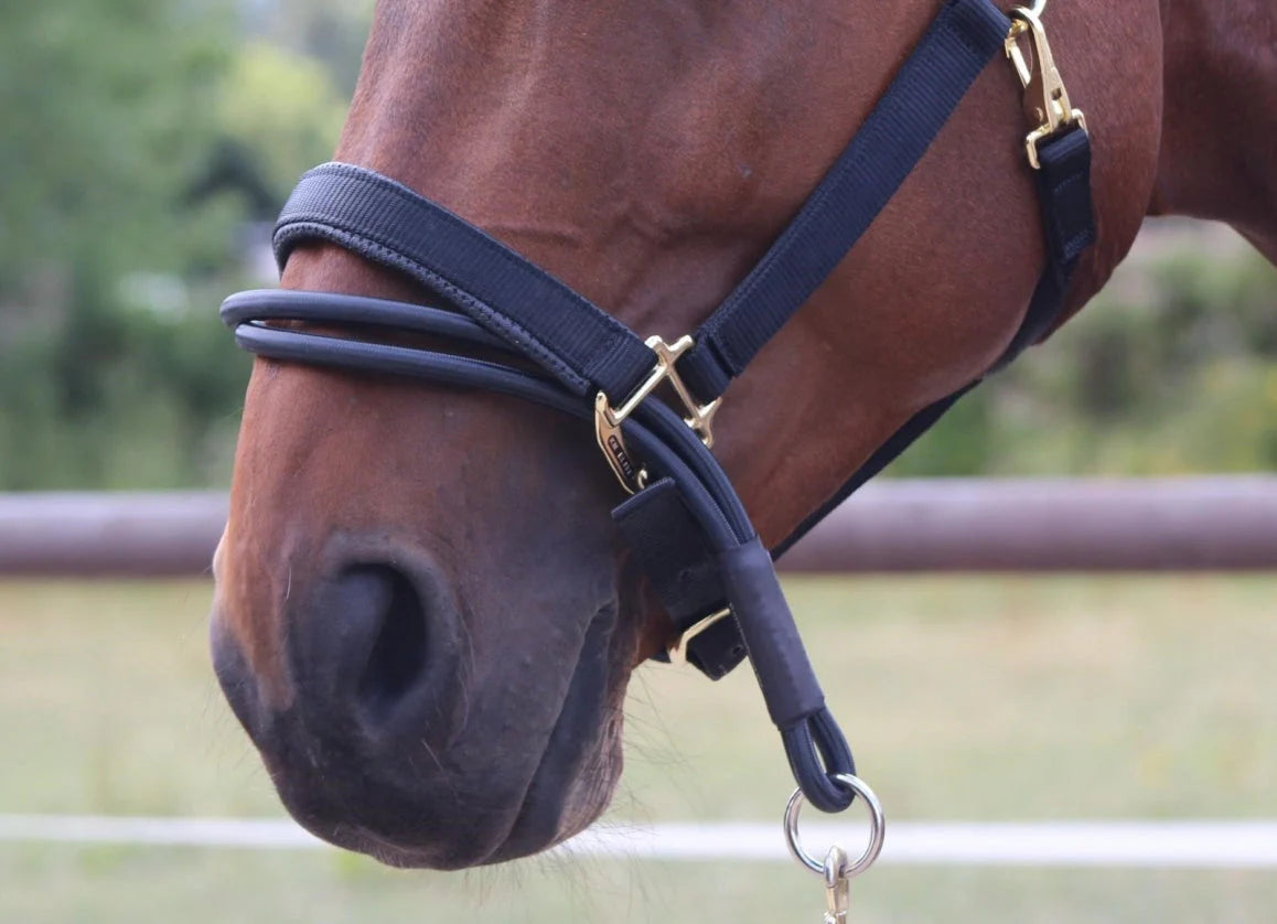 EZYLOADER HEADCOLLAR ATTACHMENT