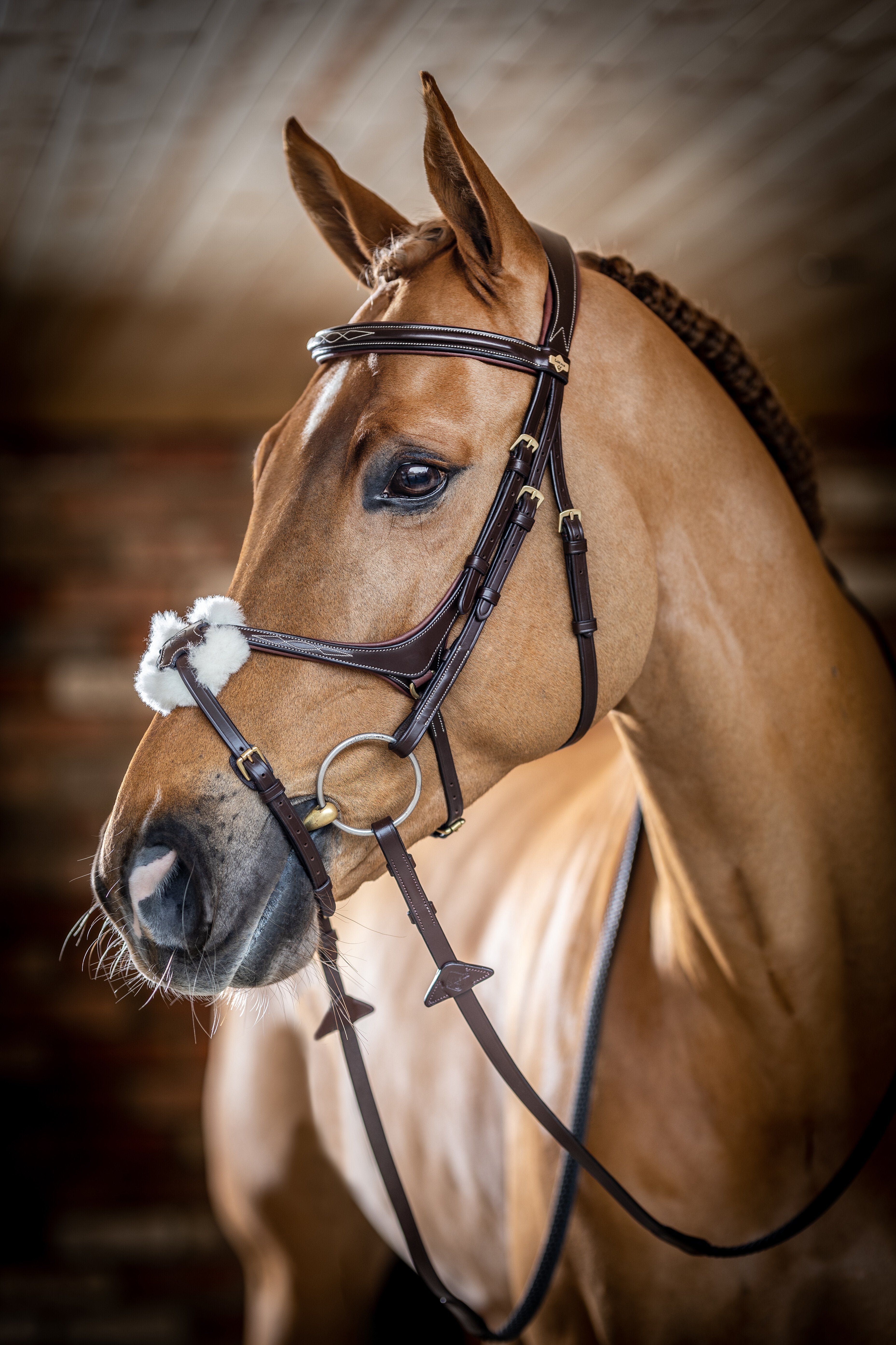 Le Mieux Grackle Bridle