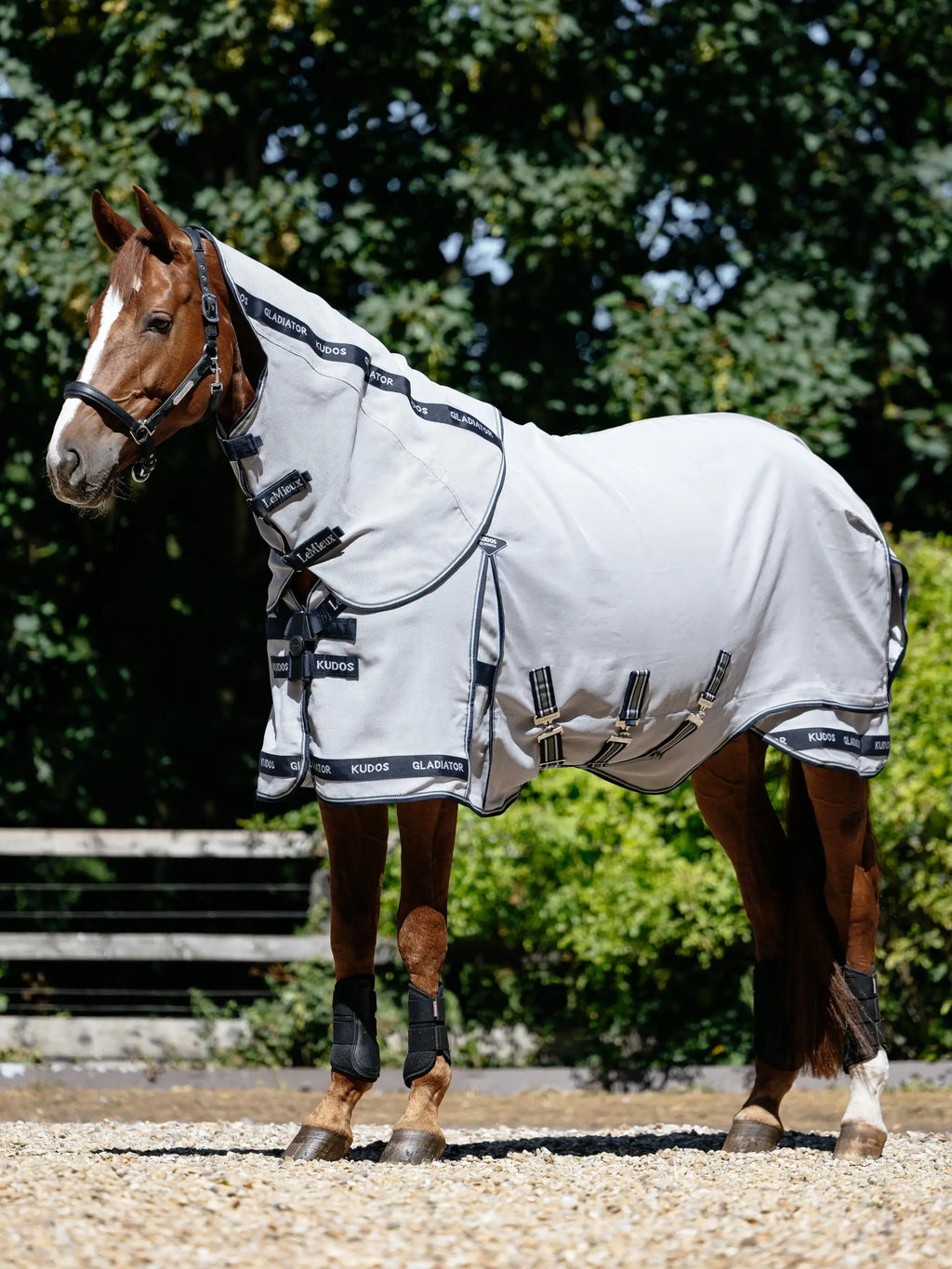 Le Mieux Kudos Gladiator Fly Rug