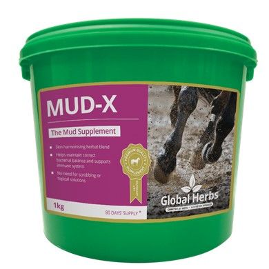 Global Herbs Mud X Powder 500 g