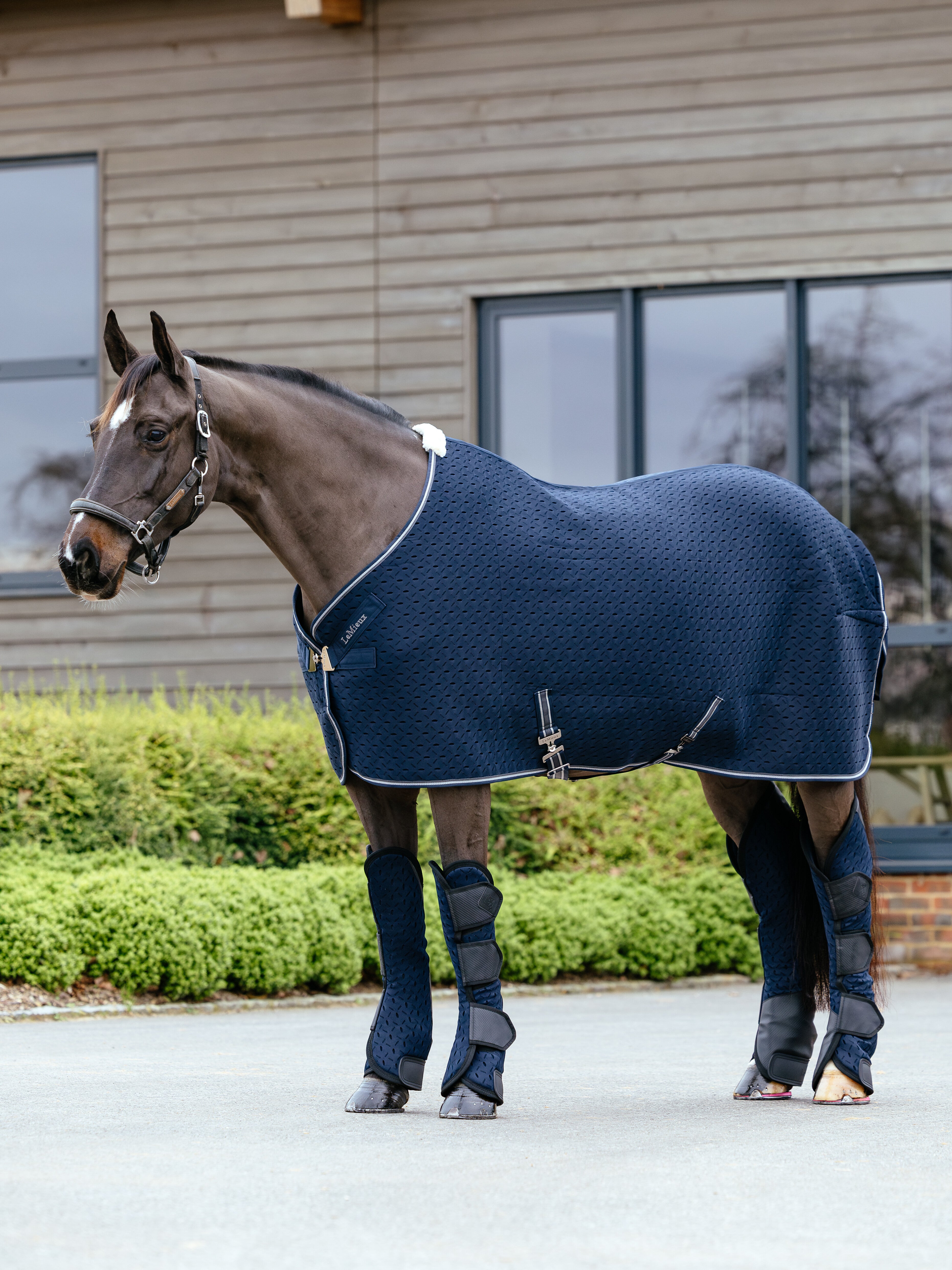 Le Mieux Kudos 3D Travel Rug