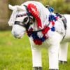 Lemieux Toy Pony Flower Sash