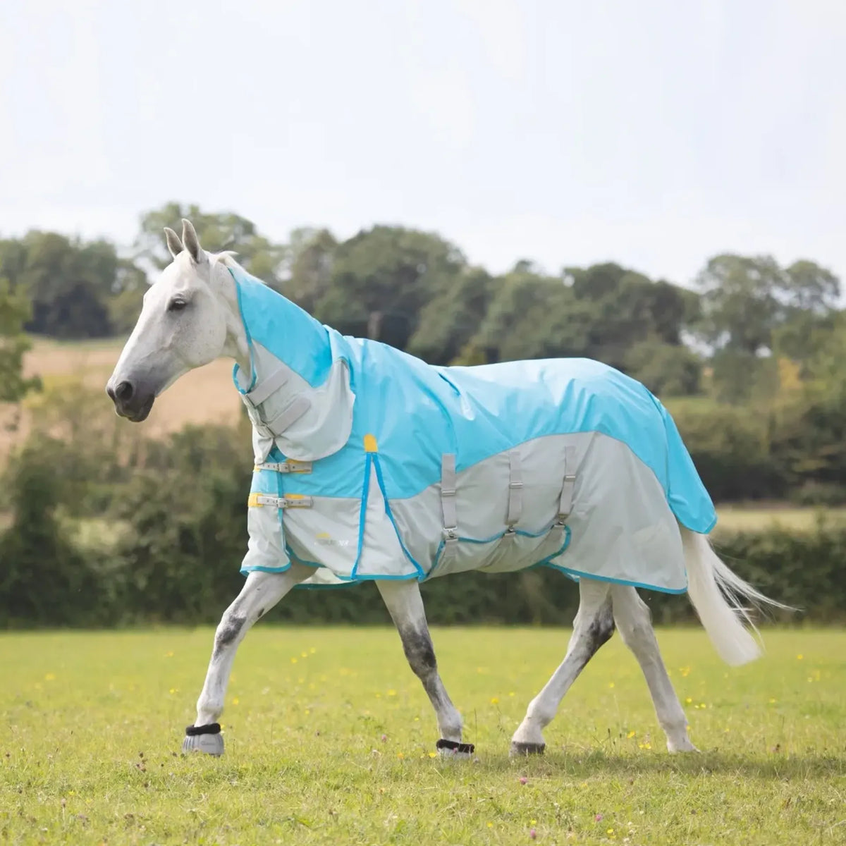 Shires Highlander Plus Waterproof Fly Rug
