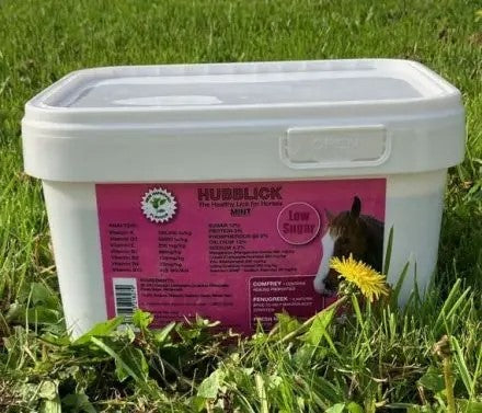 Hubblick Mint 10 kgs