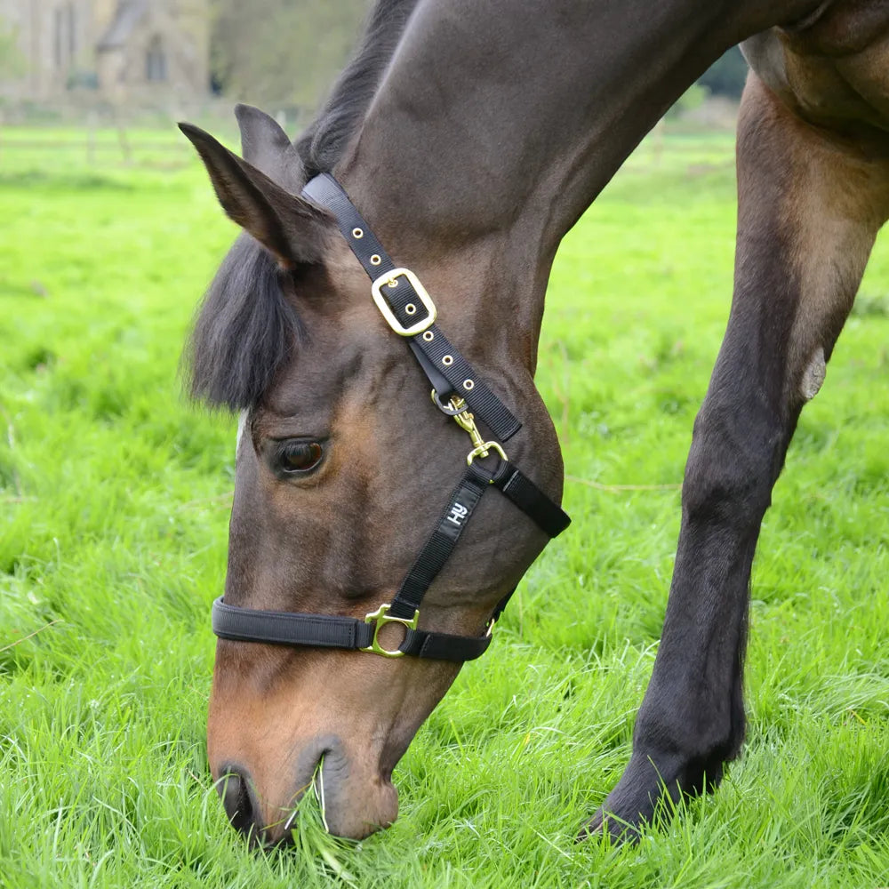 Hy Field Safe Headcollar