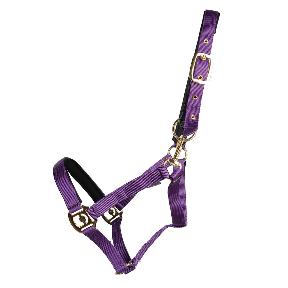 Hy Field Safe Headcollar