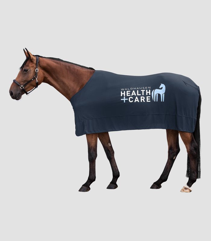 Waldhausen Ice Layer Rug