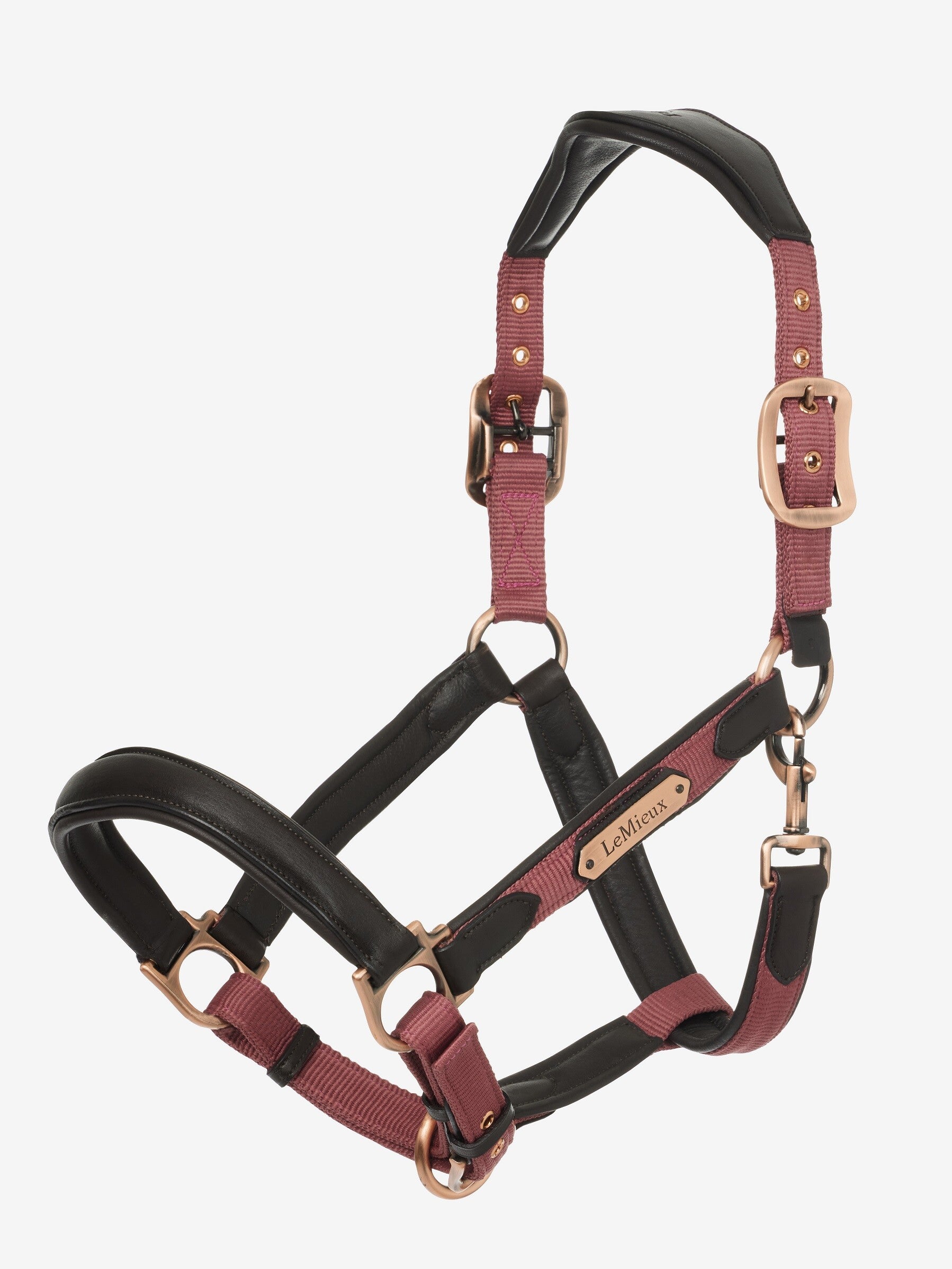 Le Mieux Capella Headcollar