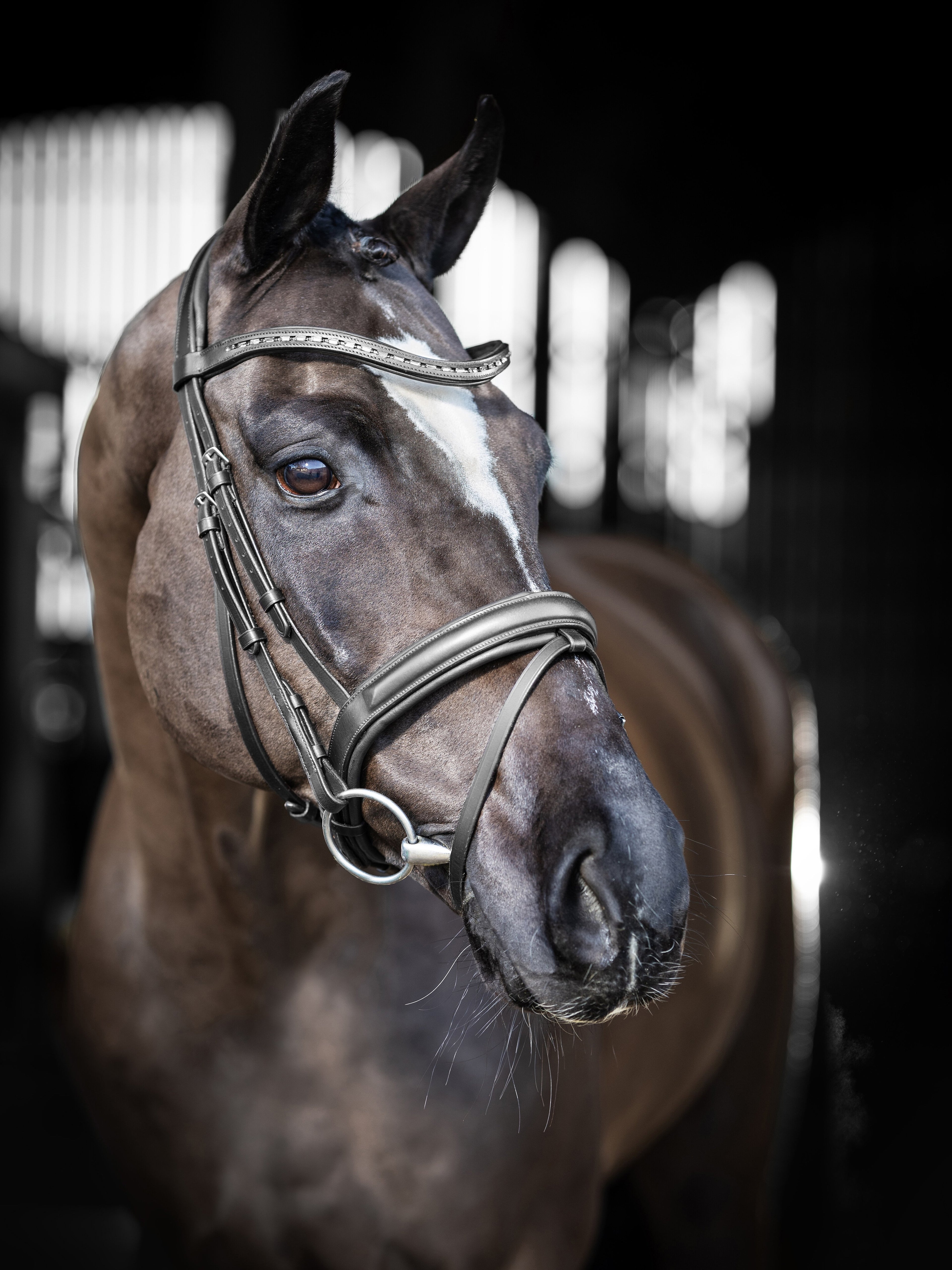 Le Mieux Arika Dressage Bridle