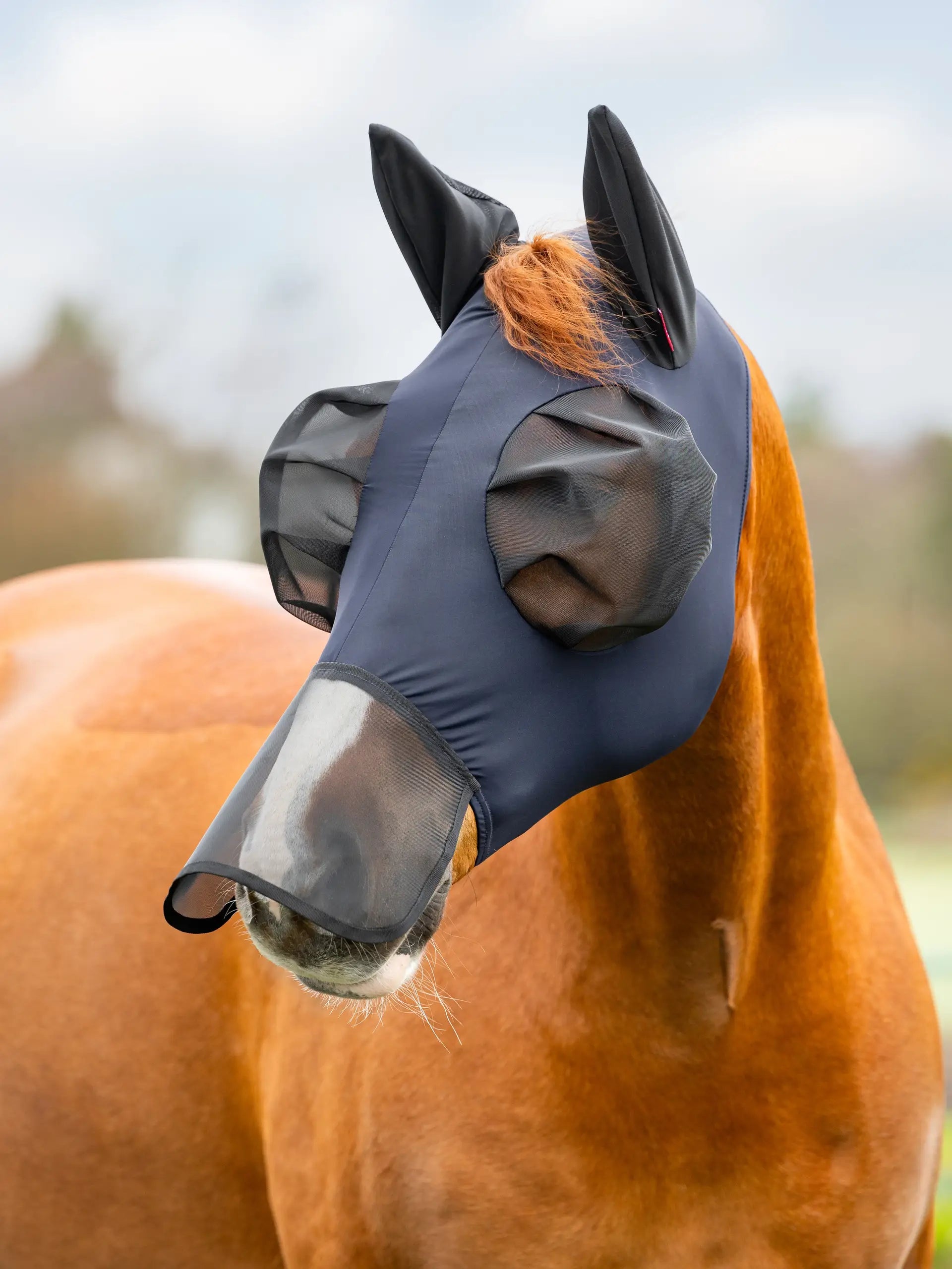 Lemieux Bug Relief Lycra Full Face Mask